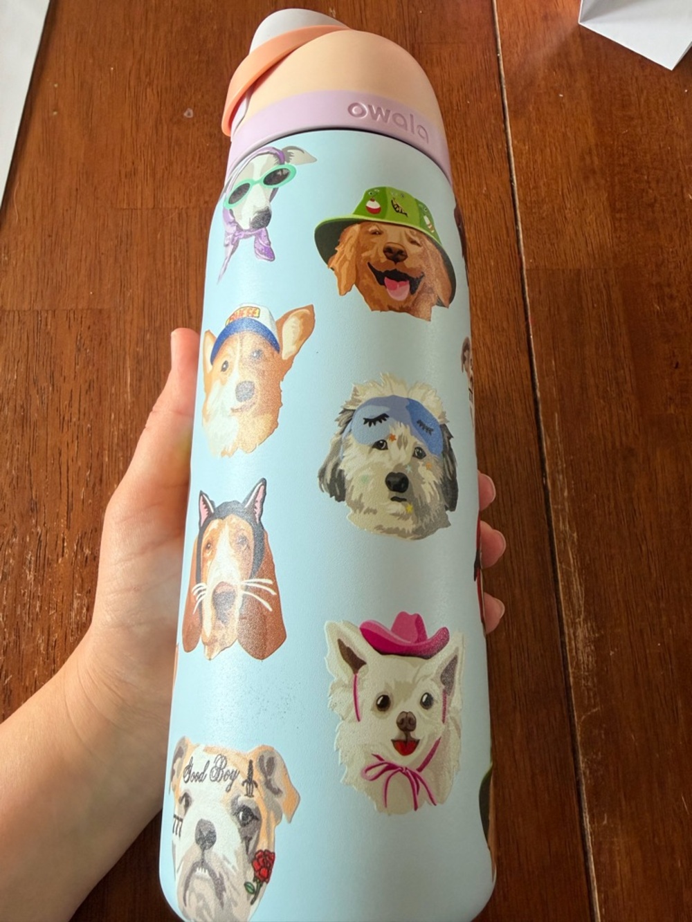 Owala UO Exclusive Dog Collage FreeSip 32 oz Water Bottle - Picture 3 of 8
